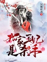 塞尔达王国之泪