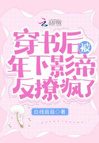 壮士出川电视剧全集免费观看高清