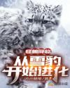 两个人夜晚一起打扑克