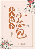大菠萝福建导航app网站进入最新章节