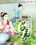 网球王子之天才系统