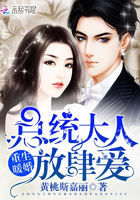 重生北宋之杨家九郎