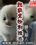 日本一级爽快片淫片