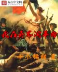 岛国速播2024在线观看