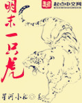 绮户流年