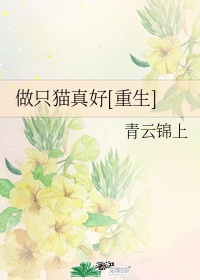 上错电梯进错全文阅读