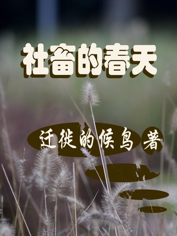 温柔的慌言