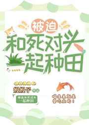 你不喜欢我这样的txt