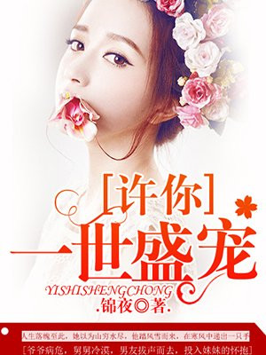 少林寺传奇之大漠英豪