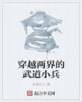 村姑也疯狂小说