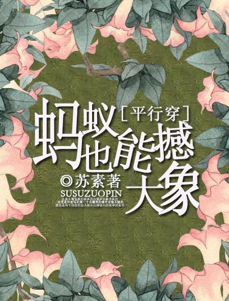 平妻