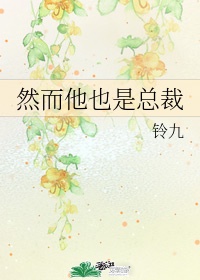 心禁锢小说