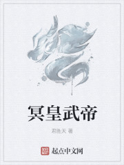 攻壳机动队第一季