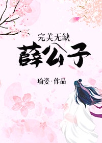 旋风少女3小说全集