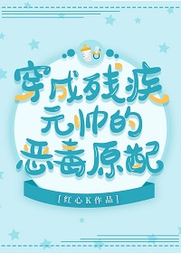 女律师的堕落在线