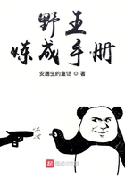 梦幻仙境