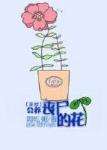海上繁花全集46集免费观看西瓜