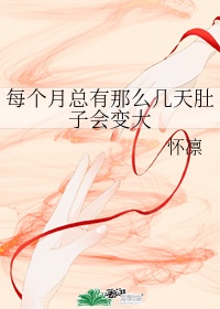魔法少女奈叶本子