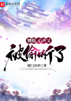 办公室老板和女秘h文