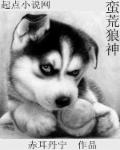 午夜风流小说