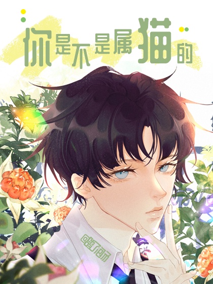 晴雅集免费观看全集完整版策驰