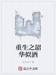 帕拉狗骑士无敌版