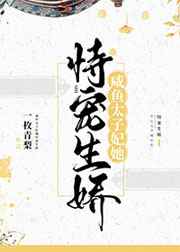 我家有喜小说