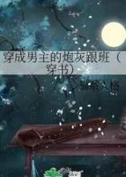 麻花豆传