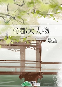 t90dy影院手机版