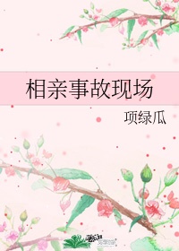 我的英雄学院