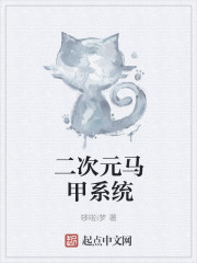 正在播放摄像头