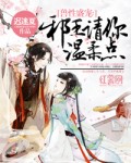毛利兰h