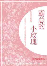 陈皮皮的奋斗第二部