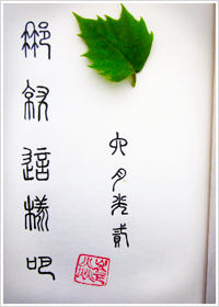 母猪养成计划无删减