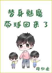 宠物小精灵之冠军