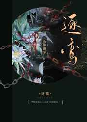 国产高清中文版HD中字