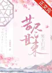 2828全部电影理论