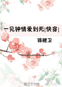 野花免费观看高清电视