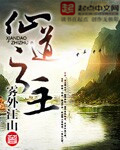 星空乌鸦天美大象果冻