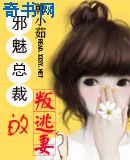 圣痕炼金士无修版