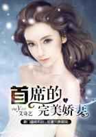 言情小说带肉