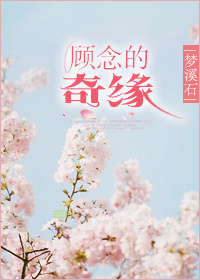 艳妇交换俱乐部全文阅读
