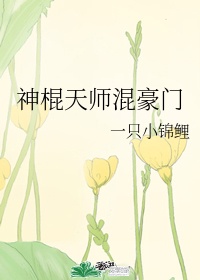 一级在线免费视频