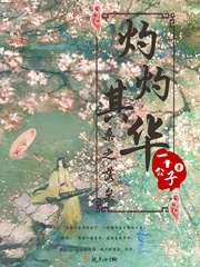 重庆拍到黑熊一家三口林中漫步