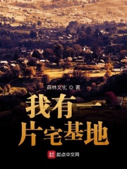 美景之屋2中文版电影