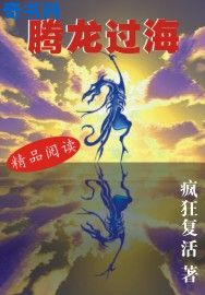 波动少女二