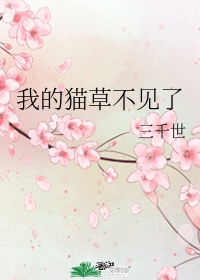 兄弟的女人在线观看