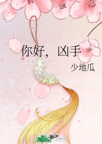 张警官9分11秒
