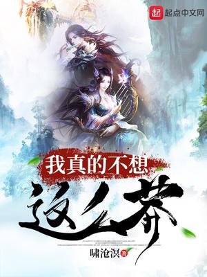 全国最大人情网