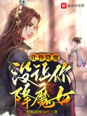 彩画堂拳皇h不知火舞